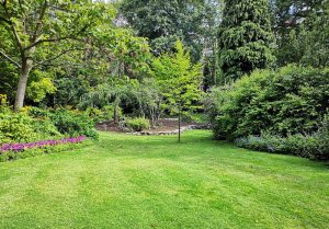 Optimiser l'expérience du jardin à Catillon-sur-Sambre